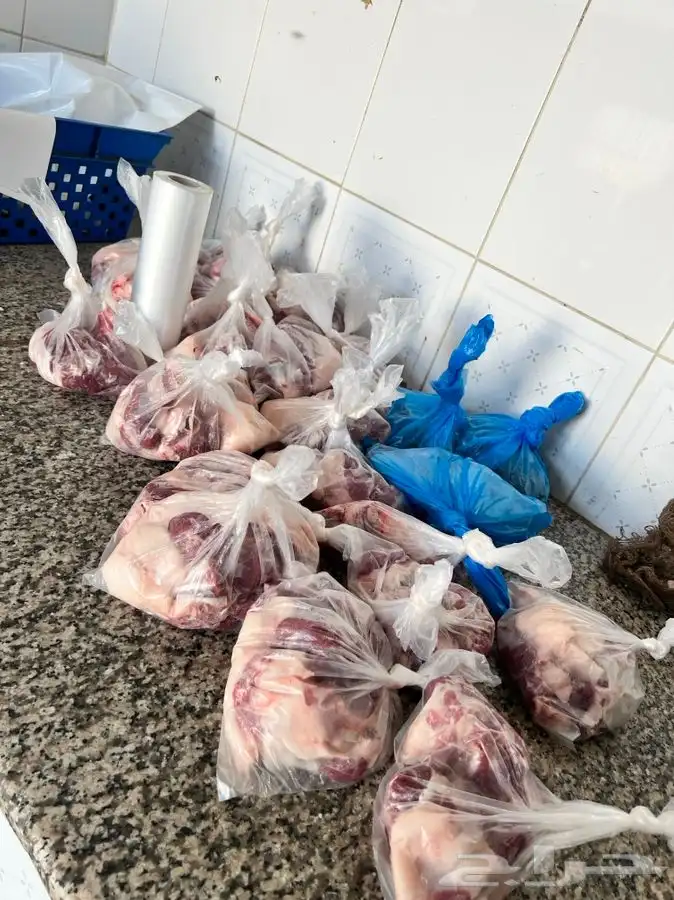 ذبايح سواكني ثلاجة مناسبات كبار 1350 تربية 5 شهور لحد بيتك 22