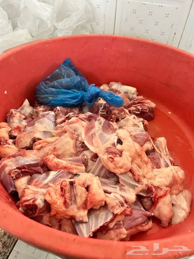 ذبايح سواكني ثلاجة مناسبات كبار 1350 تربية 5 شهور لحد بيتك 23