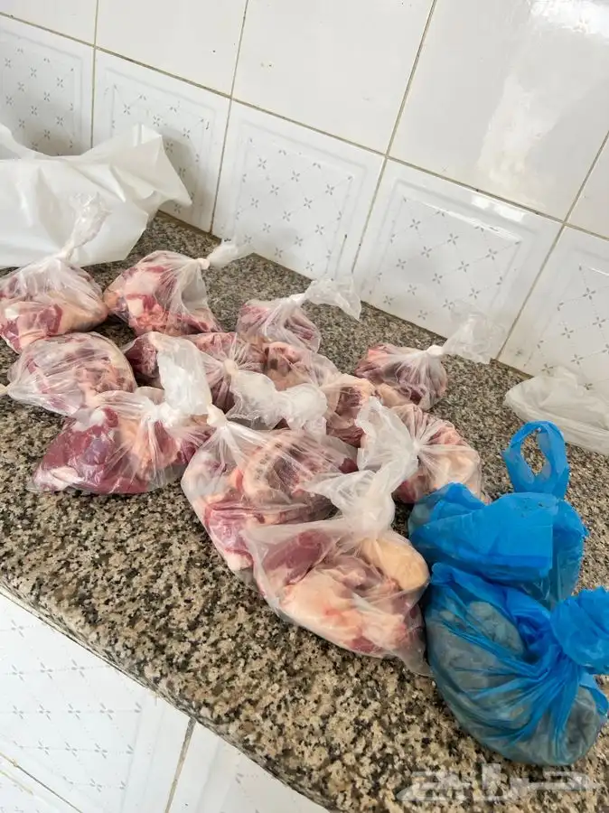 ذبايح سواكني ثلاجة مناسبات كبار 1350 تربية 5 شهور لحد بيتك 21