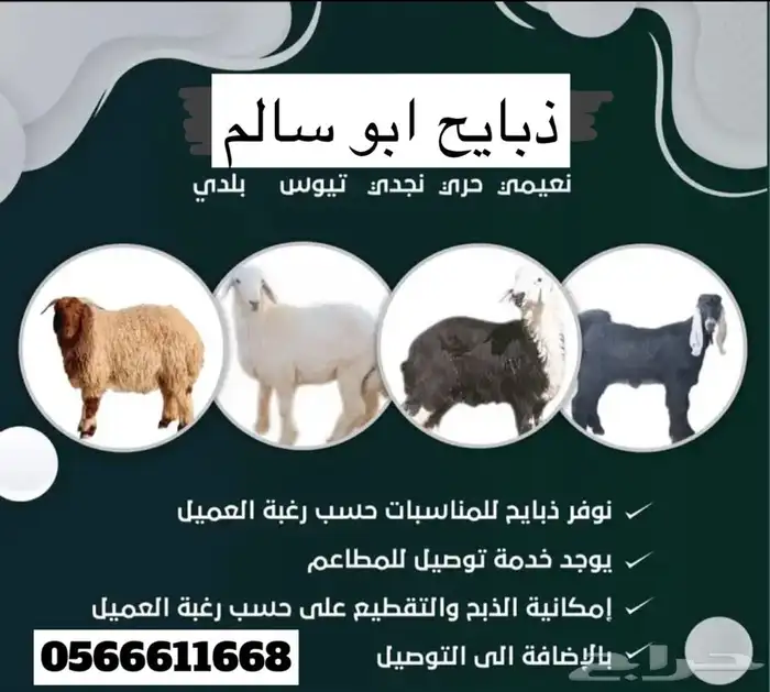 ذبايح سواكني ثلاجة مناسبات كبار 1350 تربية 5 شهور لحد بيتك 0