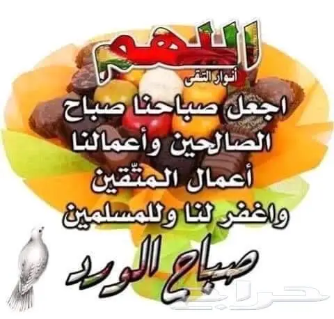 نادر تراث قديمةشحيحةفضةاصليةطقم موسس وفرانسي 47