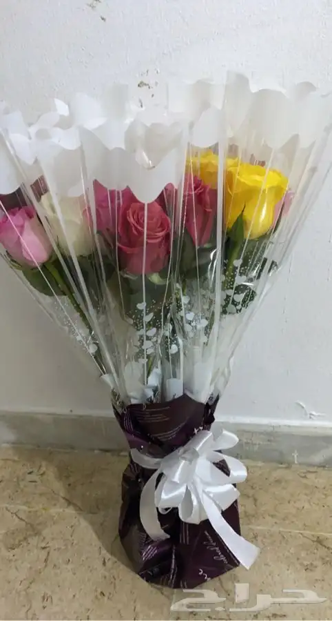 ورود مغلفه تواصل واتس 0