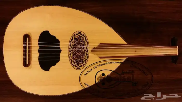 عود كهربا - عود الكترك - عود موسيقي 1