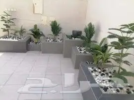 تنسيق حدائق ثيل والصناعي وتوريد 13