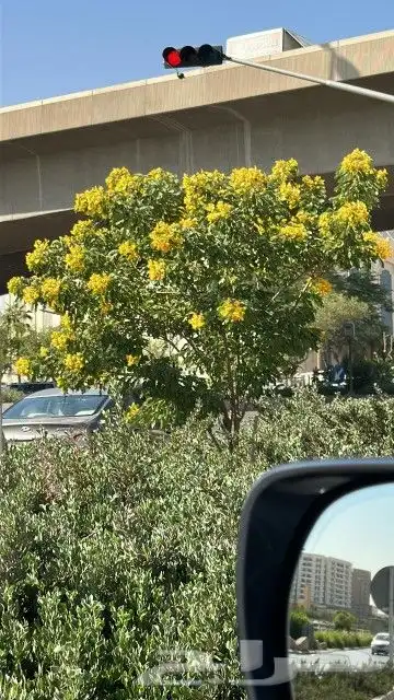 تنسيق حدائق ثيل والصناعي وتوريد 19