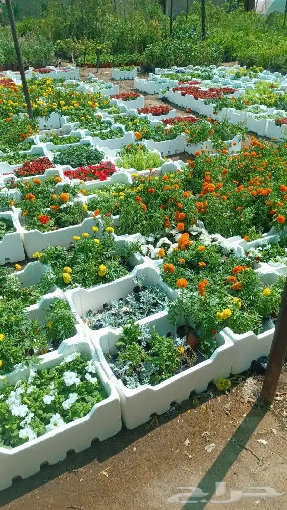 تنسيق حدائق ثيل والصناعي وتوريد 23