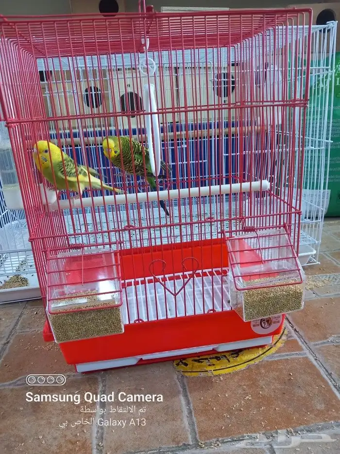 يوجد جميع مستلزمات الطيور والحيوانات واكل الكلاب والقطط 13