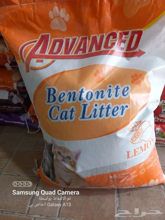 يوجد جميع مستلزمات الطيور والحيوانات واكل الكلاب والقطط 0