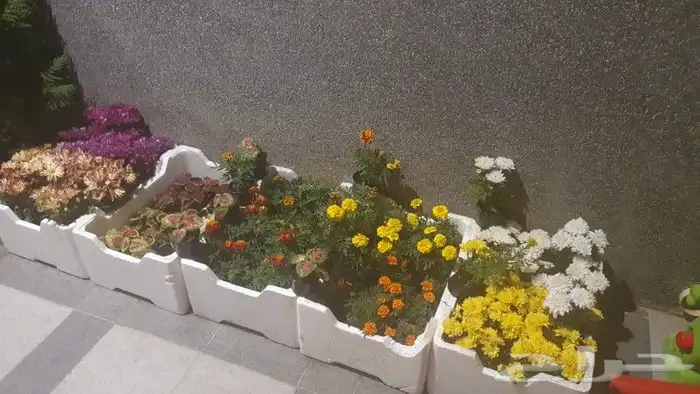 تنسيق حدائق ثيل والصناعي وتوريد 20