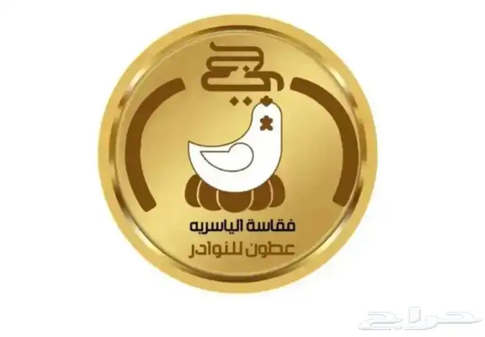 فقاسات الياسريه 5