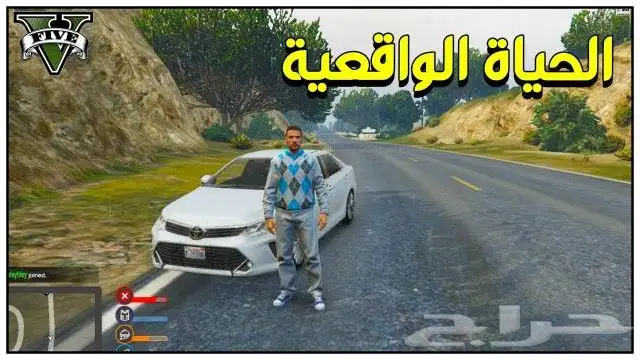 قراند حياة واقعية بي سي ارخص سعر تركيب عن بعد 4
