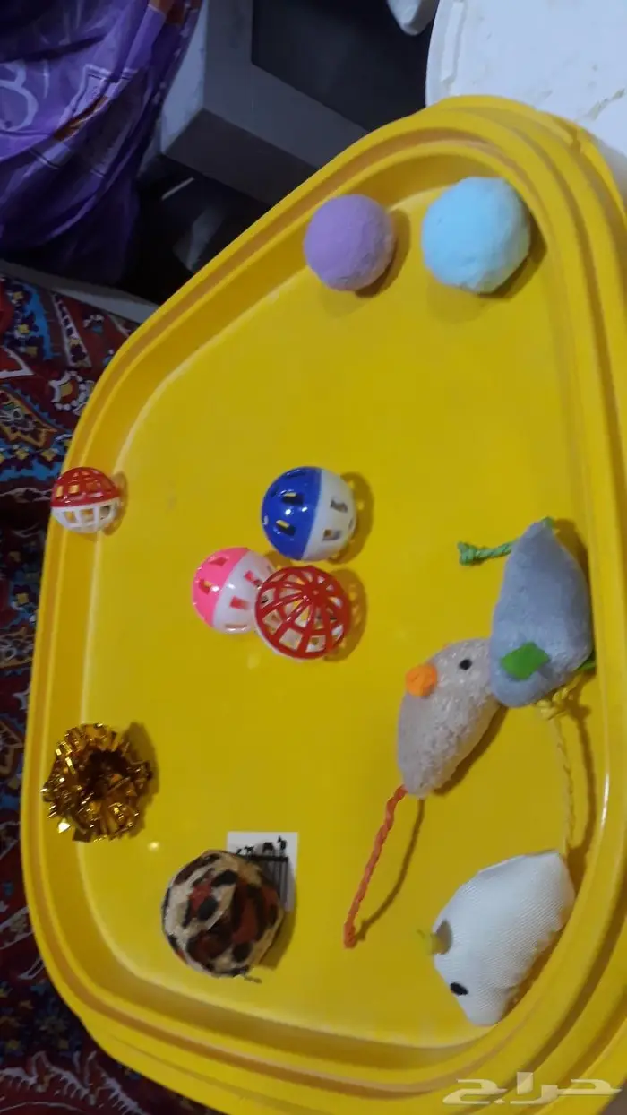 مسلزمات قطط جديدة لم تستخدم للبيع 4