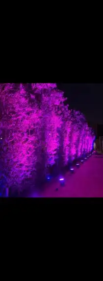 تاجير افتتاحات .حفلات .اضاءات .مجسمات . 3