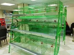 بطاريات دجاج بياض سعه 120 دجاجه 3