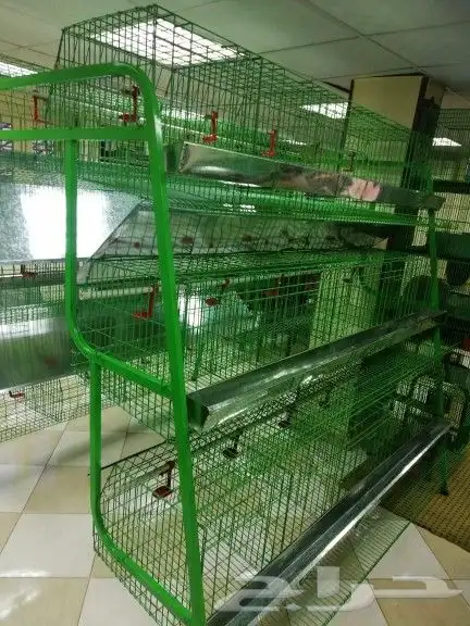 بطاريات دواجن بياض 2