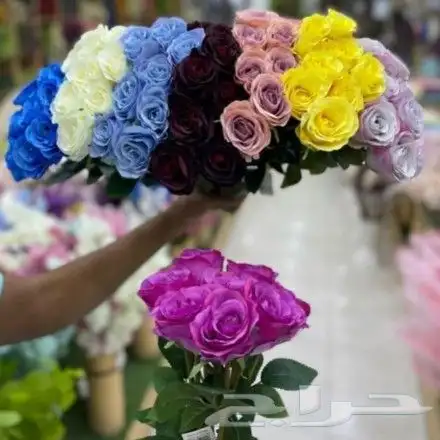 طاولات  مداخل صواني وأكثر 14