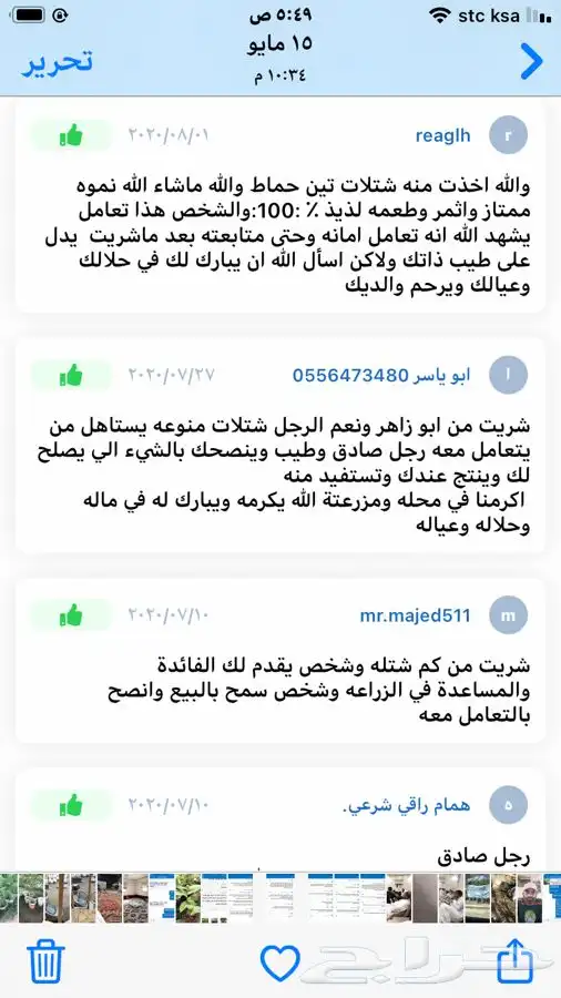 شتلات منتجه 7