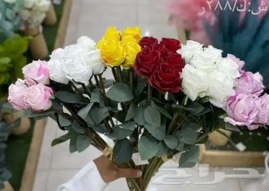 طاولات  مداخل صواني وأكثر 19