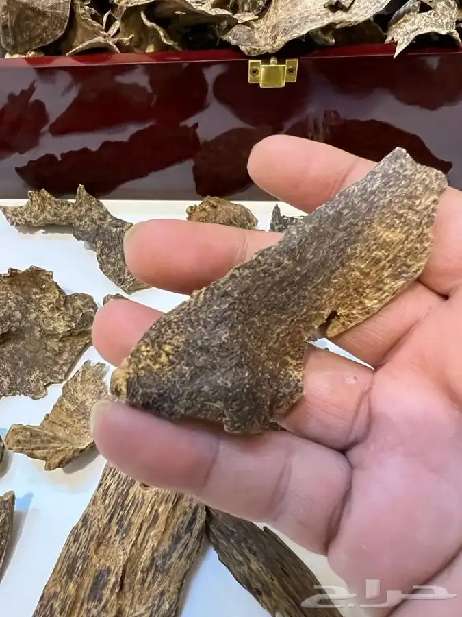 تصفيه على افخر الاعواد ((( تم البيع وانتهت الكميه ))) 5