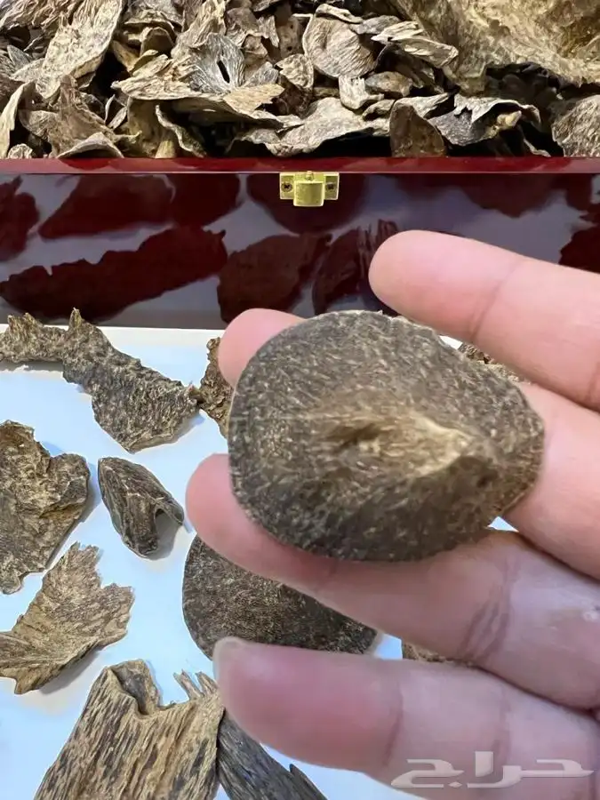 تصفيه على افخر الاعواد ((( تم البيع وانتهت الكميه ))) 1