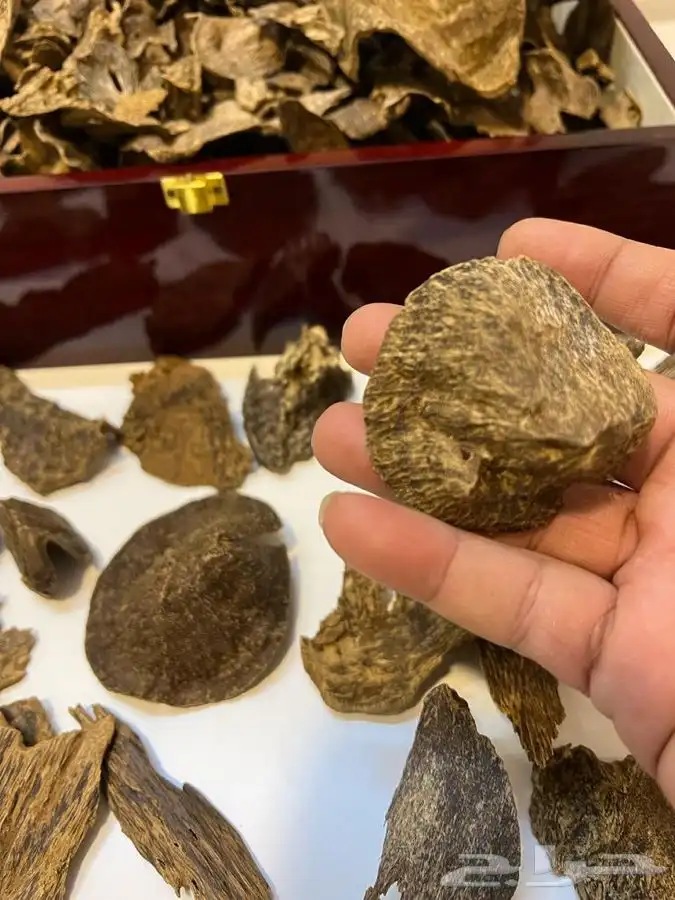 تصفيه على افخر الاعواد ((( تم البيع وانتهت الكميه ))) 3