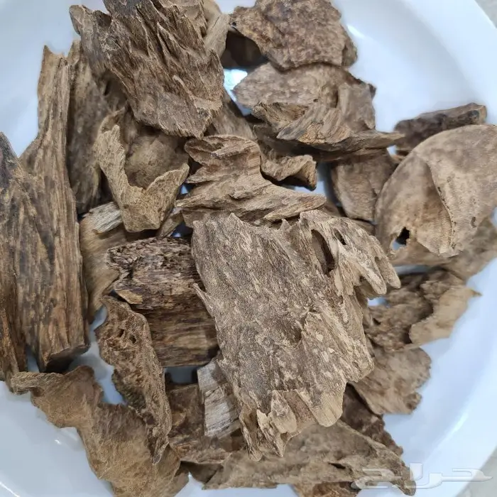 عود جنوب تايلند فاخر.. أبوغيث للعود 1