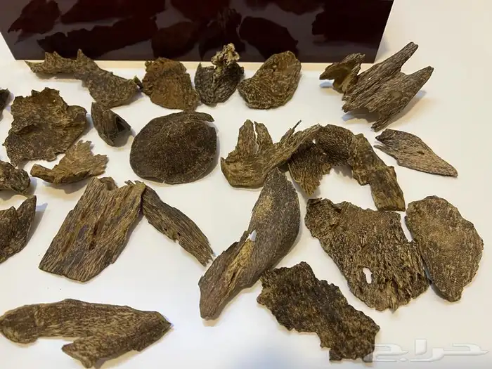 تصفيه على افخر الاعواد ((( تم البيع وانتهت الكميه ))) 2