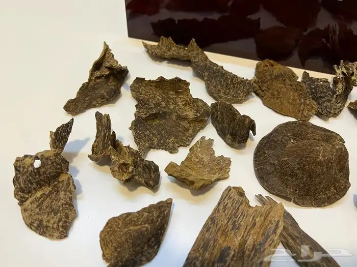 تصفيه على افخر الاعواد ((( تم البيع وانتهت الكميه ))) 4