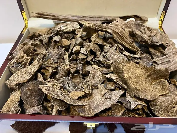 تصفيه على افخر الاعواد ((( تم البيع وانتهت الكميه ))) 0