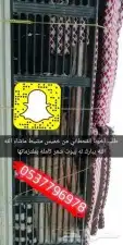خيام ومضلات وبيوت شعر طربال غطاء الكراسي خيمه 16