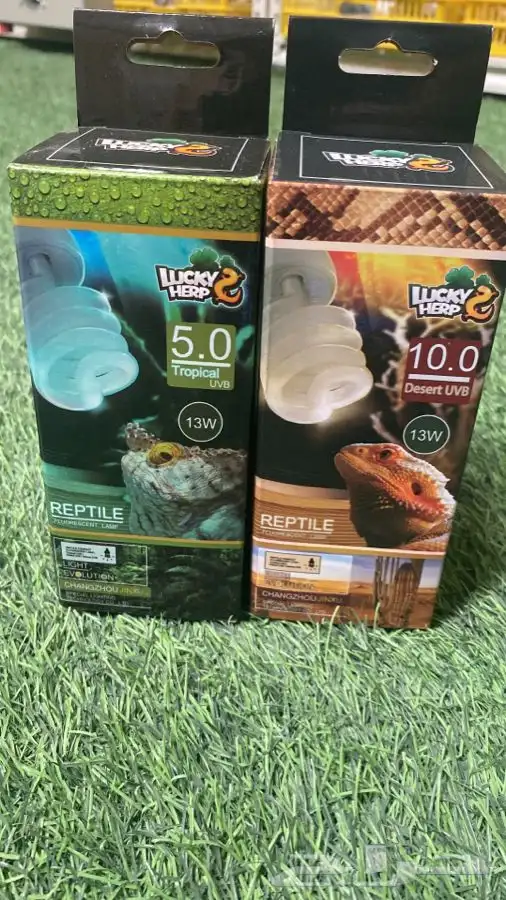 لمبة UVBتشميس للسلاحف والحيوانات 3