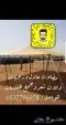خيام ومضلات وبيوت شعر طربال غطاء الكراسي خيمه 35
