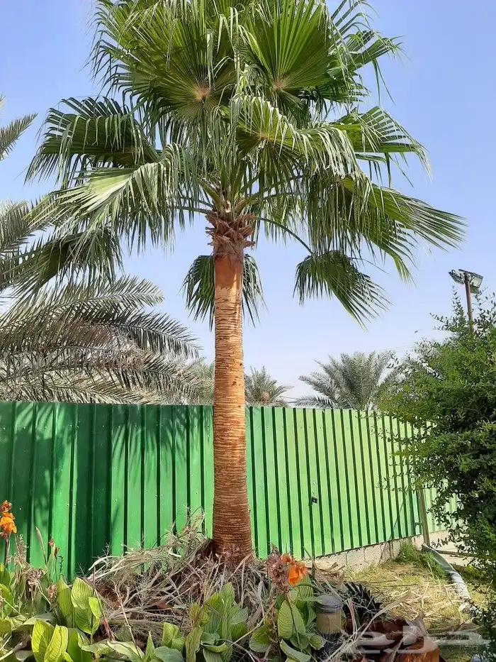 تكريب تحويض تشويك تلقيح تعديل مزرعة 5