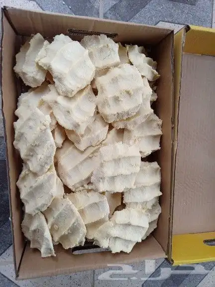 بقل ضأن رطب جديد 2