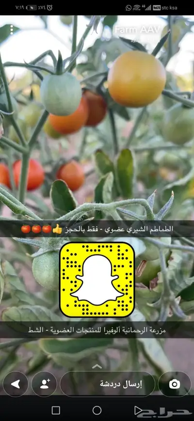 صواني وشتلات منوعة ومقاسات مختلفة 7