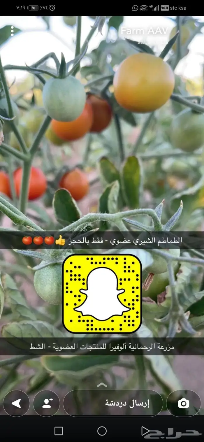 صواني وشتلات منوعة ومقاسات مختلفة 7