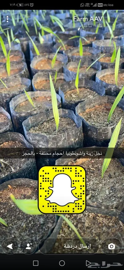 صواني وشتلات منوعة ومقاسات مختلفة 6