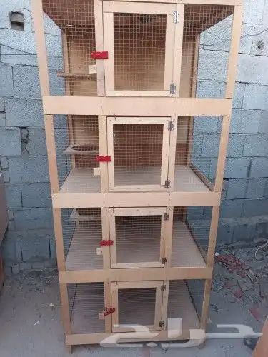 محاكر حمام قفص 17