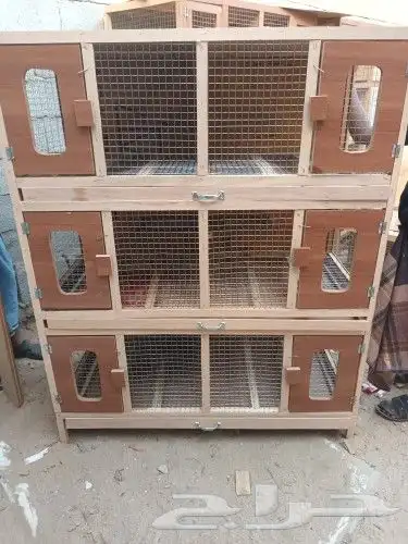 محاكر حمام قفص 2