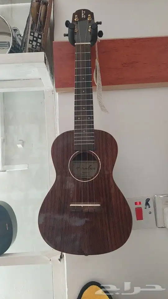 الات موسيقية يوكليلي قيثارة ukulele طبل الصلب 3