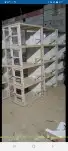 محاكر حمام قفص 35