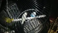 توصيل طيور وحيوانات أليفة 1