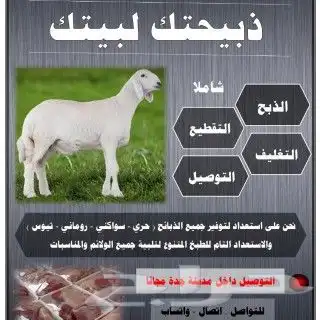 ذبايح حريات وسواكني والتوصيل لباب البيت 1