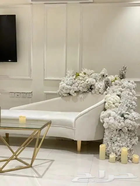 كوش للايجار 2