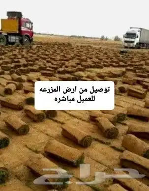 ثيل طبيعي توريد وتركيب 2