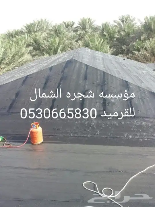 مؤسسة شجره الشمال للقرميد 1