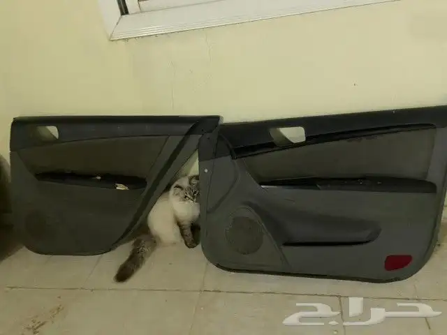 ديكور سوناتا 2009 فل 7