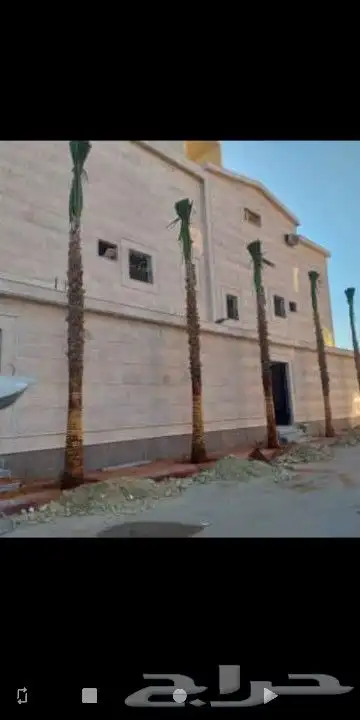 ممتخصصون في  النخيل وتوريد 3
