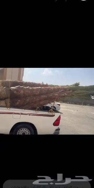 ممتخصصون في  النخيل وتوريد 0