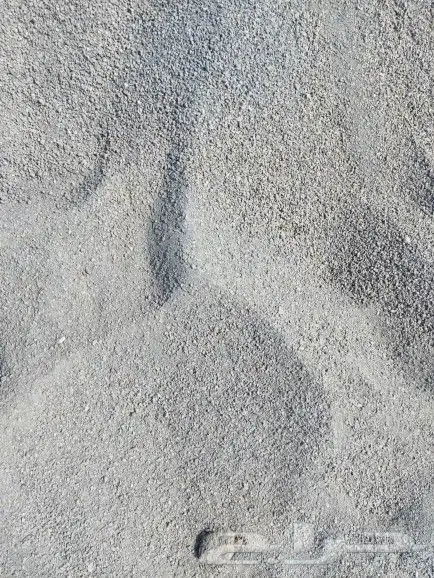 طرطشه الخمره 9